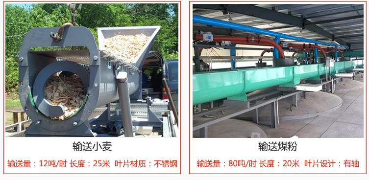 絞龍螺旋輸送機輸送小麥輸送量在12噸/時，長度為25米，葉片采用不銹鋼材質(zhì)；輸送水泥輸送量在80噸/時，長度為20米，葉片設(shè)計為有軸。