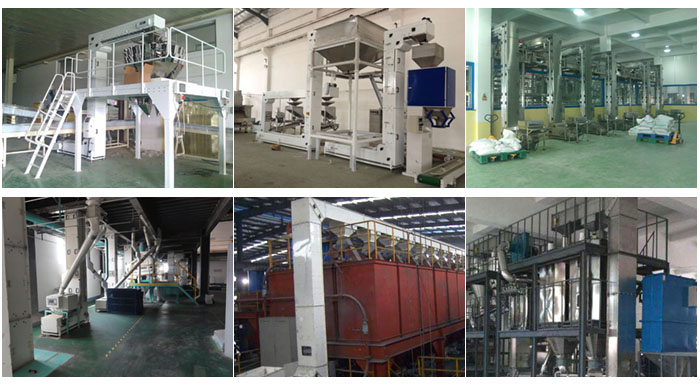 z型斗式提升機食品廠配合包裝機輸送，輸送小麥，碎礦石輸送等現場案例展示。